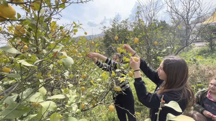 KÜÇÜKÇEKMECE BELEDİYESİ’NDEN HATAY’DAKİ ÜRETİCİLERE DESTEK!