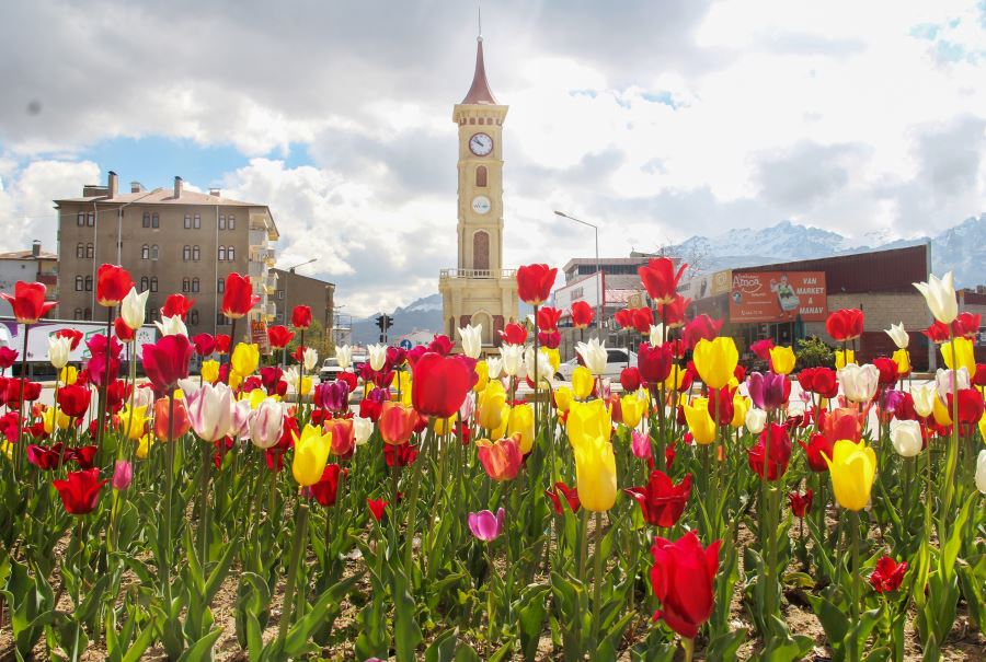 LALELER, PARK VE BAHÇELERİ RENKLENDİRDİ