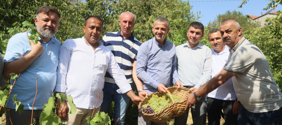 Lezzetiyle meşhur üzümlerin hasadına başlandı - TÜRKİYE - İnternetin Ajansı