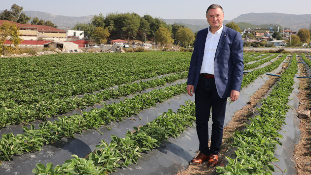 LÜTFÜ SAVAŞ: HATAYLI ÇİFTÇİMİZ TOPRAĞINI BIRAKMASIN DİYE TÜM UĞRAŞIMIZ!