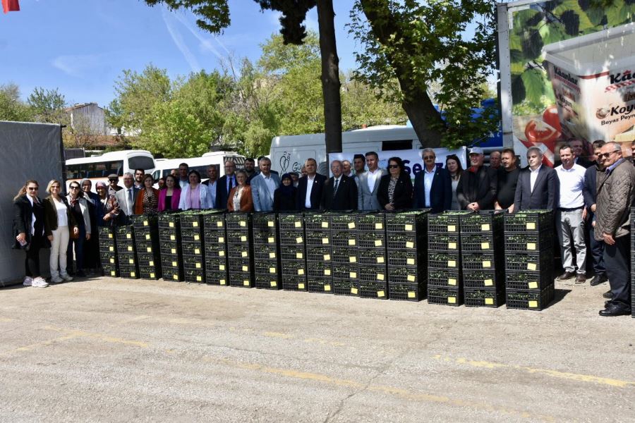 MALKARA VE HAYRABOLU İLÇELERİNDE ÜRETİCİYE DOMATES FİDESİ DESTEĞİ