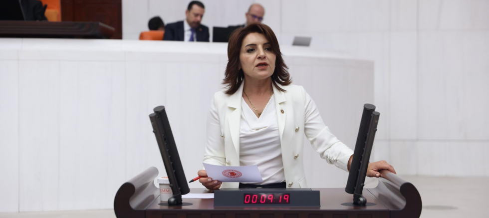 MERSİN MİLLETVEKİLİ GÜLCAN KIŞ: “EĞİTİM SİYASETİN ARKA BAHÇESİ OLAMAZ” - SİYASET - İnternetin Ajansı