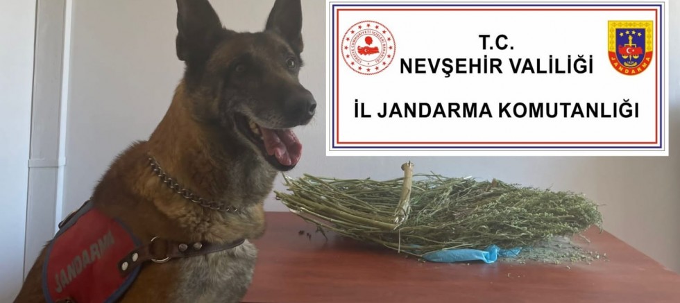 Nevşehir'de uyuşturucu operasyonu  - GÜNDEM - İnternetin Ajansı