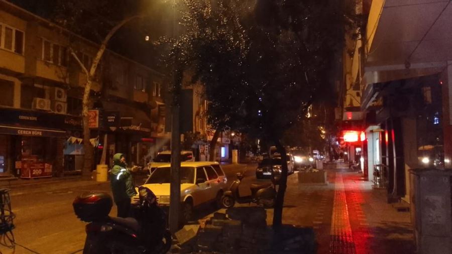 Orhangazi Belediyesinden Yaza Hazırlık Budama ve İlaçlama Çalışması