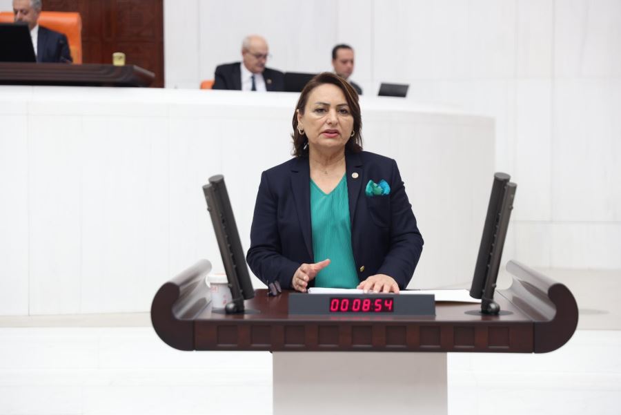 ORMANLAR VE MERALAR BETONA GÖMÜLECEK