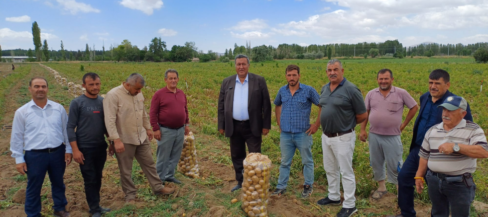 Patates üreticisinin dramı: Tarlada 4 lira, market rafında 20 lira - GÜNDEM - İnternetin Ajansı
