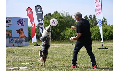 Patiler Kent Ormanı’nda yarıştı!
