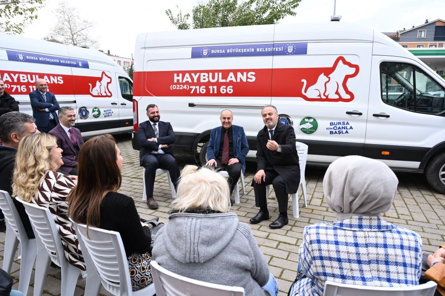 Patili dostlara ‘Haybulans’