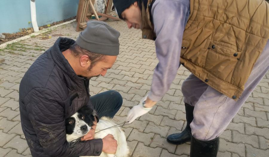 Pazaryeri ilçesinde ev hayvanlarına mikroçip uygulanması