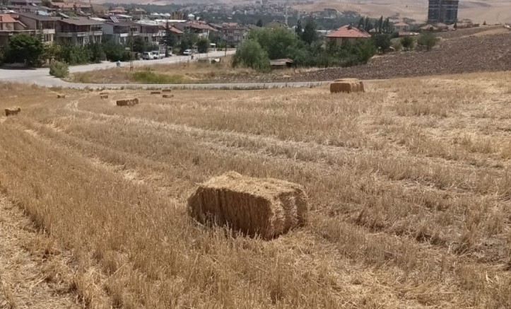 Pursaklar Ekiyor Biçiyor Üretime Can Veriyor - GÜNDEM - İnternetin Ajansı