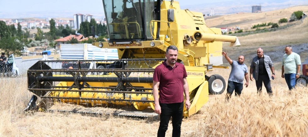 Pursaklar’da Hasat Vakti - GÜNDEM - İnternetin Ajansı
