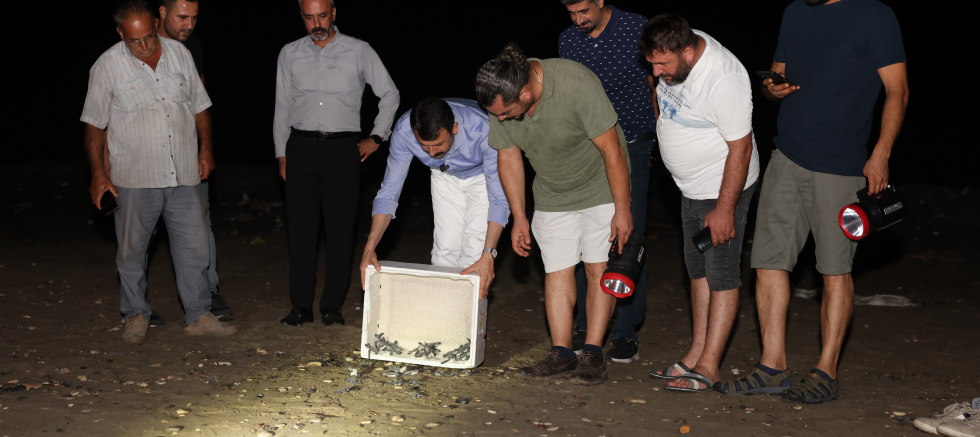 SARIYILDIZ, YAVRU CARETTALARIN DENİZLE BULUŞMASINA TANIKLIK ETTİ - TÜRKİYE - İnternetin Ajansı