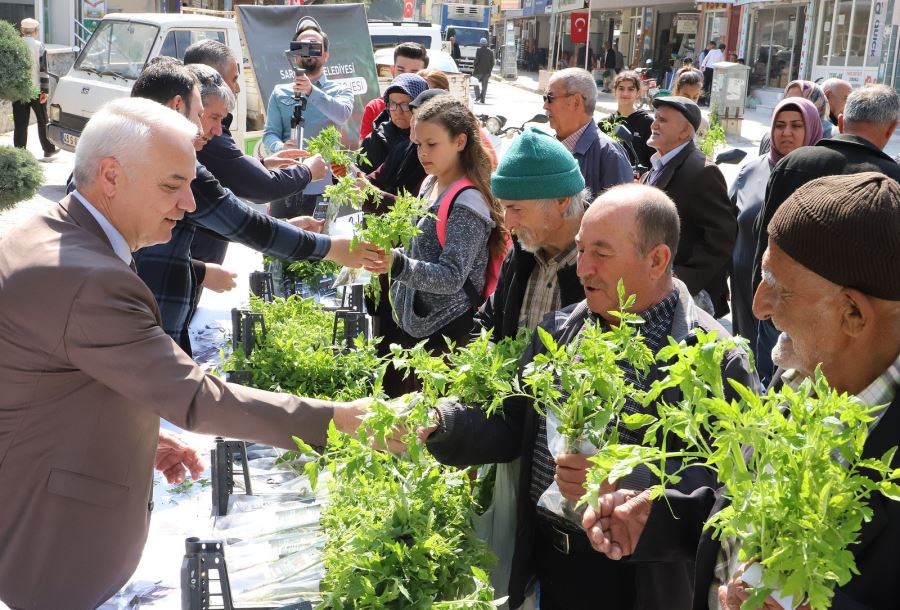 Saruhanlı Belediyesi Vatandaşlara Domates ve Bamya Tohumu Dağıttı