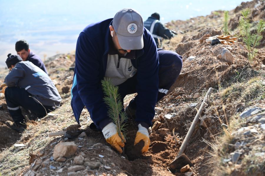 SELÇUKLU’DA YEŞİL DOKUYA 22 BİN 500 YENİ FİDAN DAHA KAZANDIRILDI