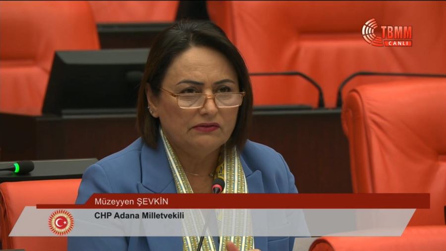 SMA, kanser ve Çölyak hastalarının dramı mecliste