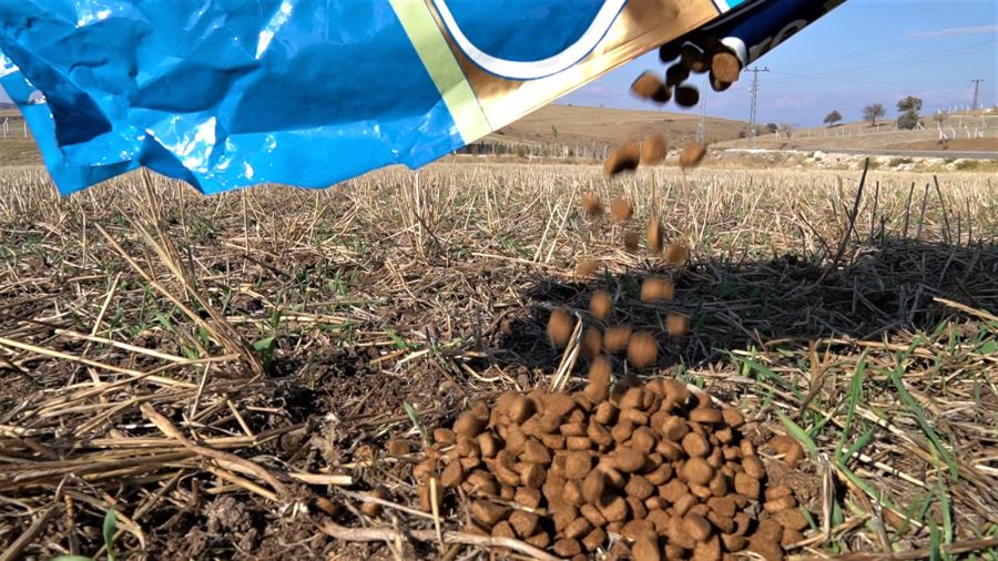 SOSYAL MEDYADA GÜNDEM OLAN TİLKİ İÇİN DOĞAL YAŞAM ALANINA YİYECEK BIRAKILDI