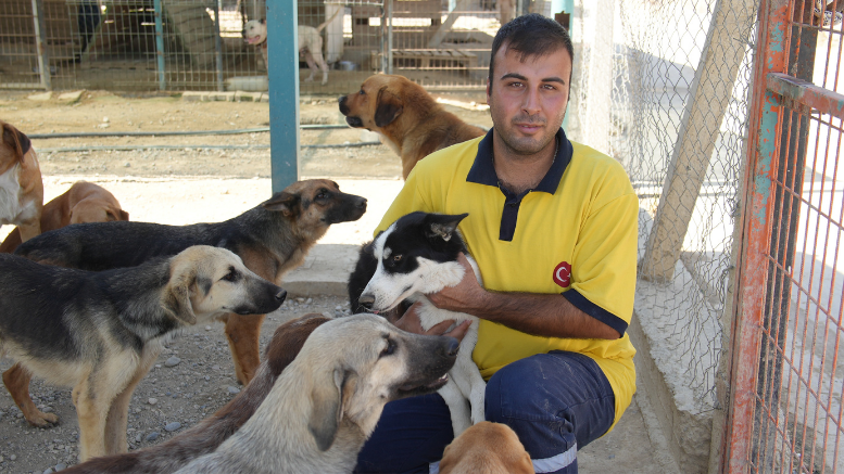 TARSUS BELEDİYESİ EKİPLERİ 5 YAVRU KÖPEK VE ANNEYİ KURTARDI - TÜRKİYE - İnternetin Ajansı