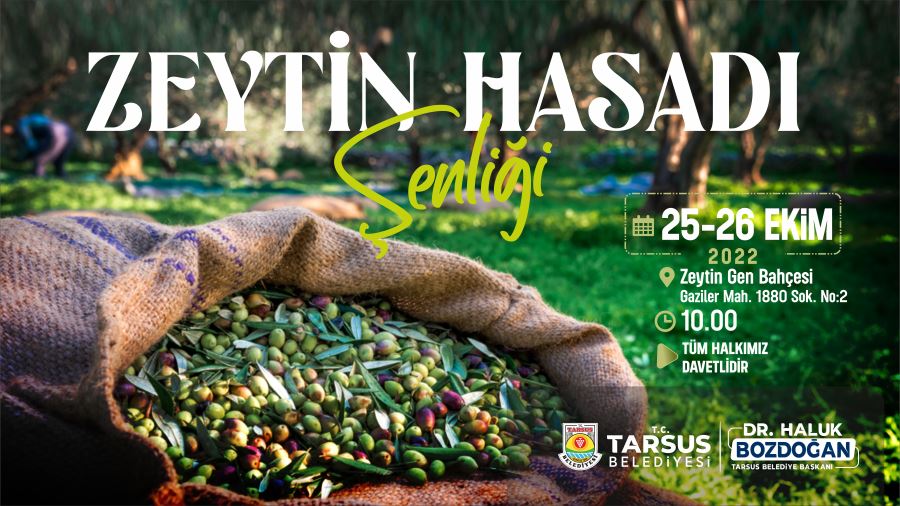 TARSUS ZEYTİN HASAT ŞENLİĞİ YARIN BAŞLIYOR