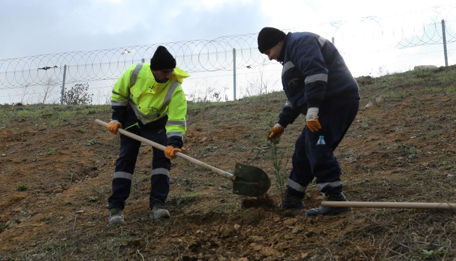 TEM’in Gebze güzergâhında yeşil seferberlik