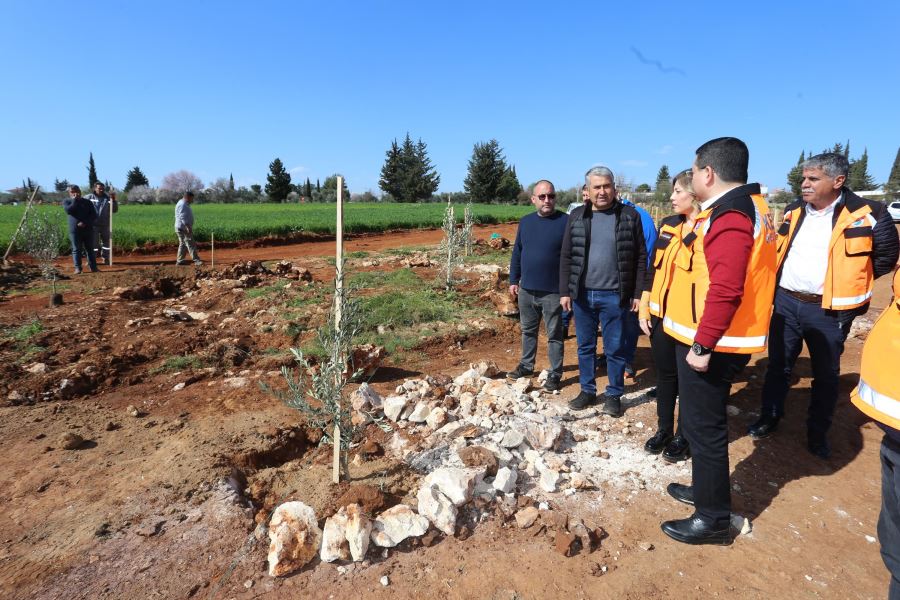 Tütüncü: “Zeytin gelecek demek”