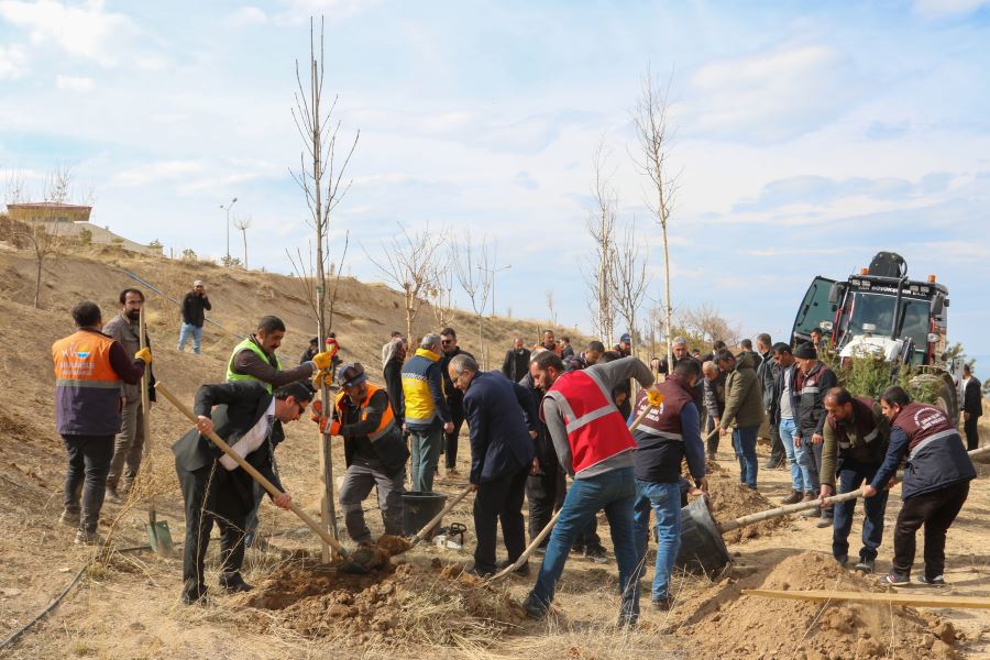 VAN'DA DEPREMDE HAYATINI KAYBEDEN SAĞLIKÇILAR İÇİN FİDAN DİKİLDİ
