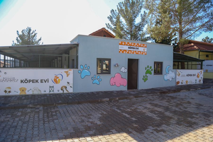 YENİ HAYVAN BARINAĞI VE REHABİLİTASYON MERKEZİ, TEDAVİ MERKEZİ OLACAK