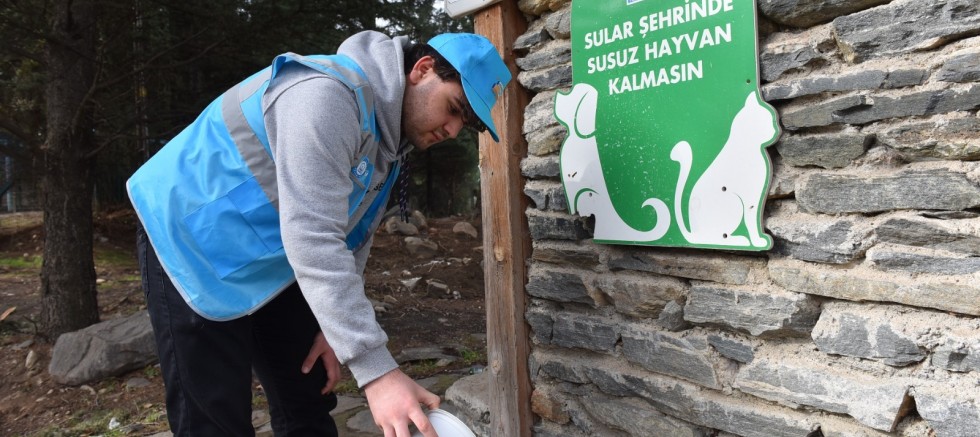 YILDIRIM BELEDİYESİ YAZ SICAKLARINDA DA SOKAK HAYVANLARININ YANINDA - GÜNDEM - İnternetin Ajansı