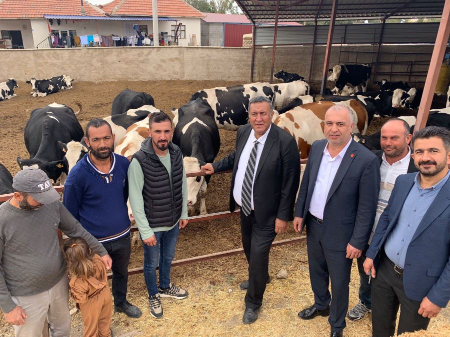 Zoonotik hastalıklar için dikkat